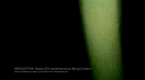 Screen Shot 2019-08-13 at 4.41.16 PM.png