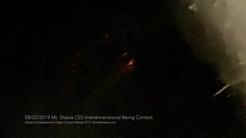 Screen Shot 2019-08-13 at 4.57.30 PM.png