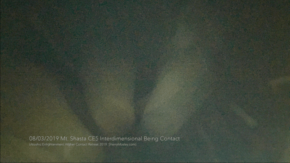 Screen Shot 2019-08-13 at 5.02.24 PM.png